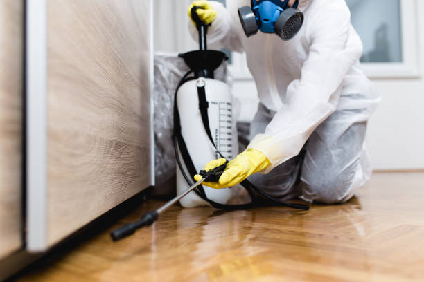 Best Pest Prevention Services  in Suncrest, WA